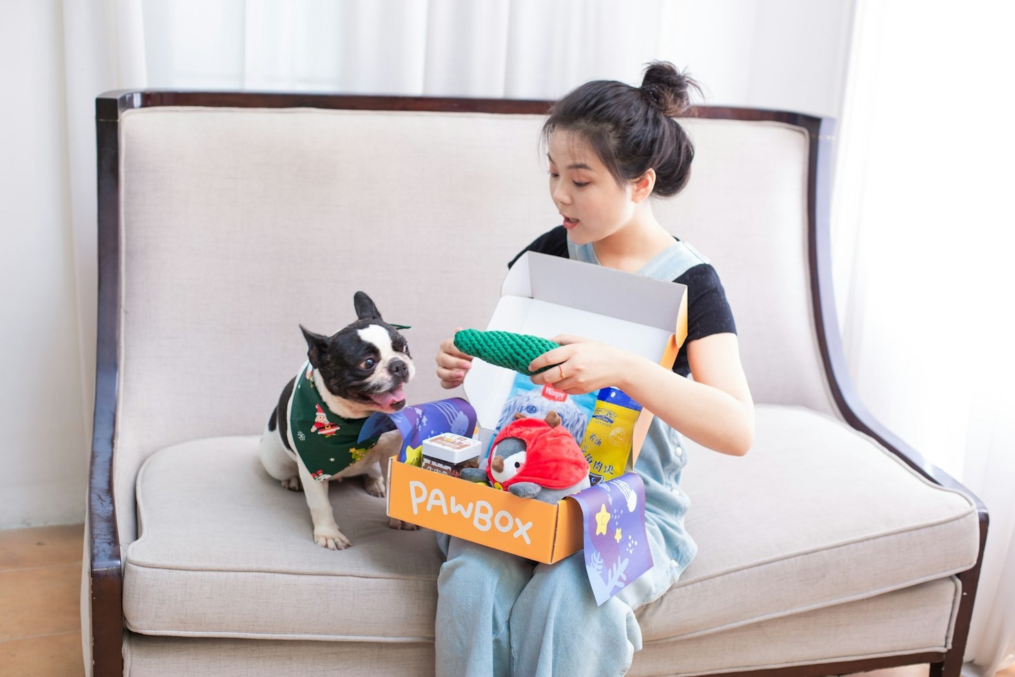 Understanding the Unique Personality of Your Frenchie