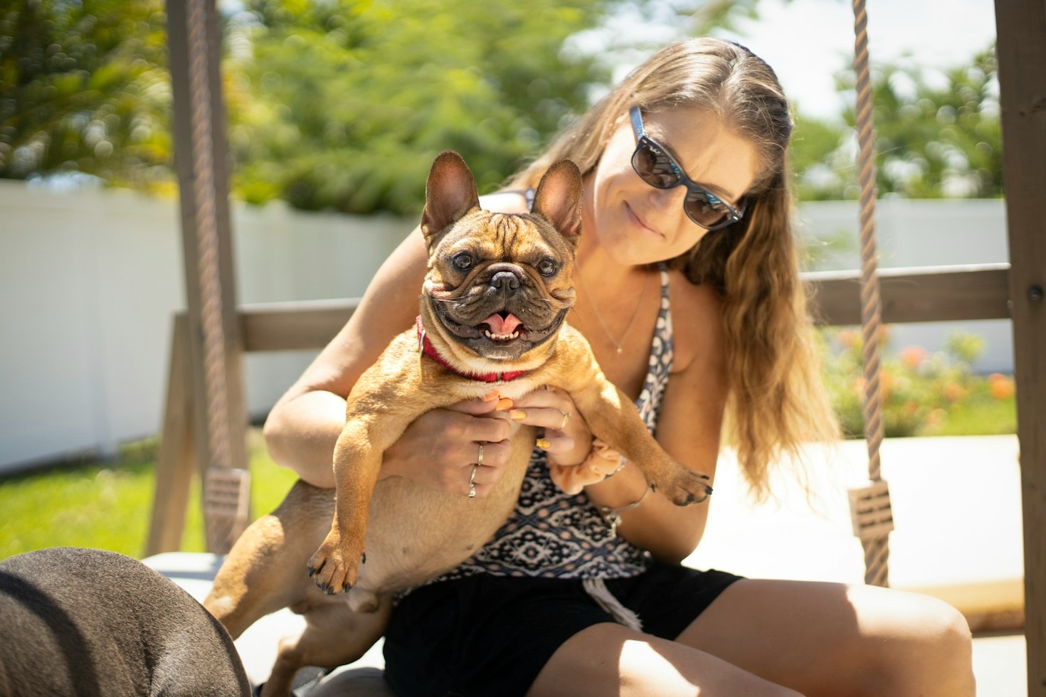 Fun Indoor Games Tailored for French Bulldogs